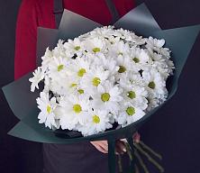 Букет цветов из:  Хризантемы #REPLACE_PRED# Долматово