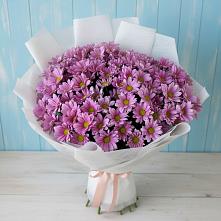 Букет цветов из:  Хризантемы в Долматово