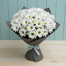 Букет цветов из:  Хризантемы #REPLACE_PRED# Долматово