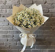 Букет цветов из:  Ромашки в Долматово