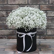 Цветочная композиция из Гипсофила в шляпной коробке в Долматово