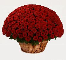 Премиум букет из: Розы в Долматово