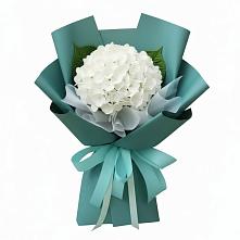 Букет цветов из:  Гортензия в Долматово